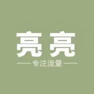 云巢亮亮导师的头像